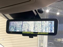 �ڥ���ƥꥸ����ȥ롼��ߥ顼�۸��ʤ��礭�ʲ�ʪ��Ʊ��ԤǸ�������ǧ���Ť餤���Ǥ�¿�������餬���Ƥ�����ξ�����α�����롼��ߥ顼���ɽ�������ꥢ�ʻ볦�Ǿ����γ�ǧ����ǽ�Ǥ��� 5