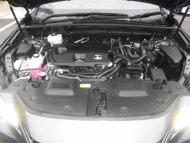LEXUS NX NX350H VERSION L