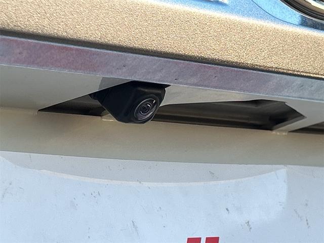 タンク カスタムG-T ドライブレコーダー バックカメラ 両側電動スライドドア エアロ オートクルーズコントロール 衝突被害軽減システム アルミホイール オートライト LEDヘッドランプ 後席モニター(30枚目)