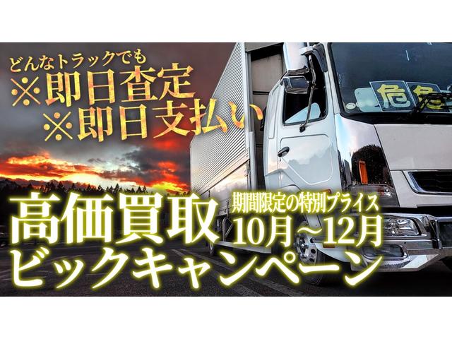 キャリイトラック ０．３５ｔ積・低温（－３０℃設定）・冷蔵冷凍車・左サイドドア（13枚目）