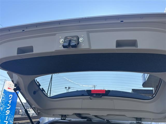 ライズ Ｚ　誤発進抑制機能　エアコン　地デジＴＶ　ドライブレコーダ　アイドリングストップ機能　バックモニター　ナビ＆ＴＶ　アルミホイール　Ｗエアバック　ＥＴＣ車載器　パワーウィンド　サイドエアバッグ　メモリーナビ（12枚目）