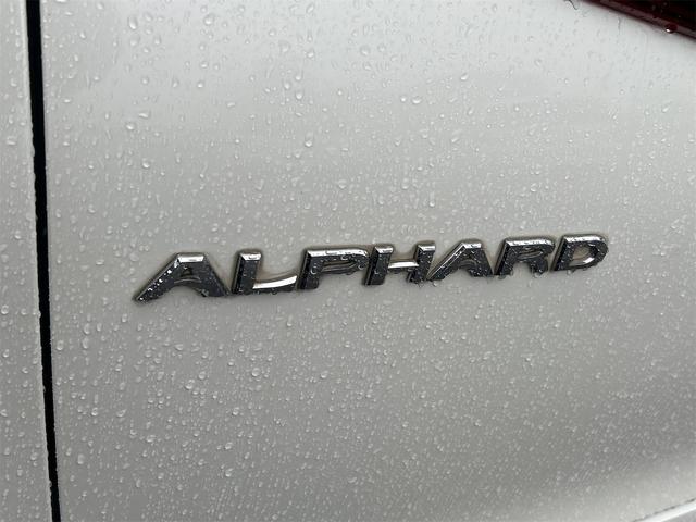 アルファード ３．５ＳＡ　Ｃパッケージ　ドライブレコーダー　ＥＴＣ　バックカメラ　ナビ　ＴＶ　オートクルーズコントロール　両側電動スライドドア　オートマチックハイビーム　オートライト　ＬＥＤヘッドランプ　電動リアゲート（22枚目）