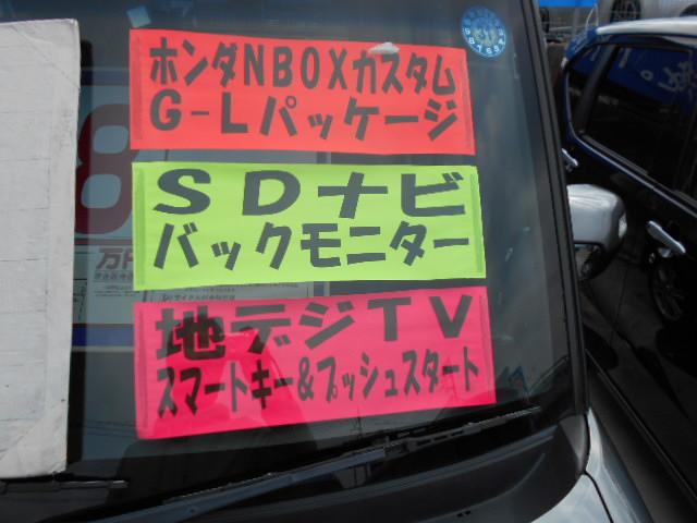 G・Lパッケージ SDナビ Bモニ(4枚目)