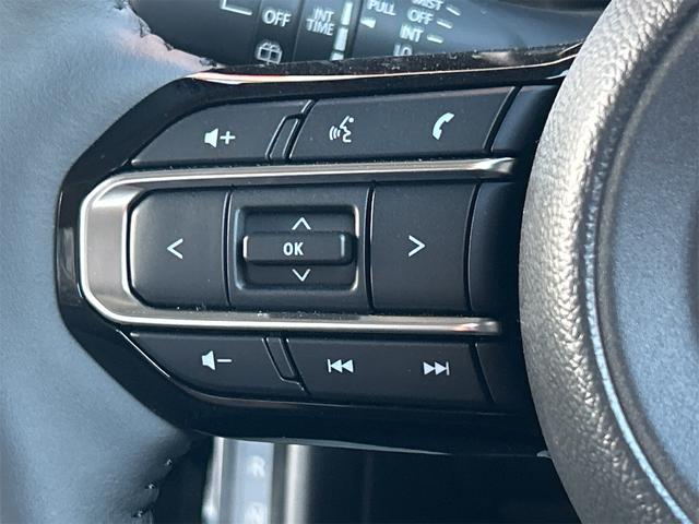 スペーシアギア ハイブリッドXZ 両側電動スライドドア オートクルーズコントロール レーンアシスト 衝突被害軽減システム オートライト LEDヘッドランプ ヘッドライトウォッシャー スマートキー(45枚目)