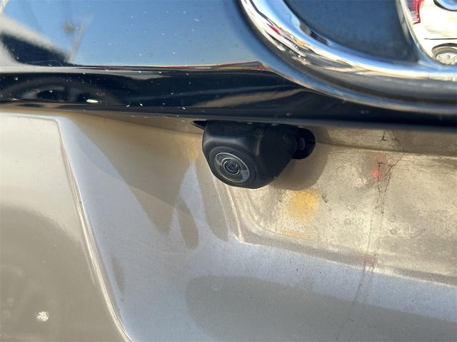 ライズ Ｚ　ドライブレコーダー　ＥＴＣ　全周囲カメラ　クリアランスソナー　オートクルーズコントロール　レーンアシスト　衝突被害軽減システム　ナビ　ＴＶ　オートライト　ＬＥＤヘッドランプ　アルミホイール（22枚目）