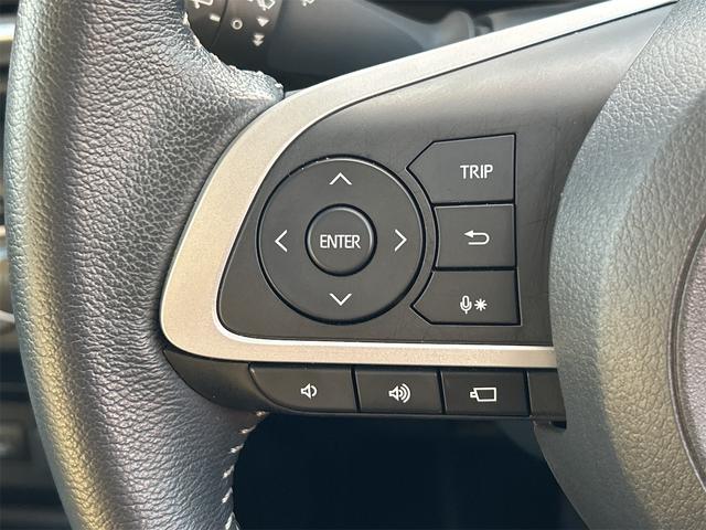 ライズ Ｚ　ドライブレコーダー　ＥＴＣ　全周囲カメラ　クリアランスソナー　オートクルーズコントロール　レーンアシスト　衝突被害軽減システム　ナビ　ＴＶ　オートライト　ＬＥＤヘッドランプ　アルミホイール（45枚目）