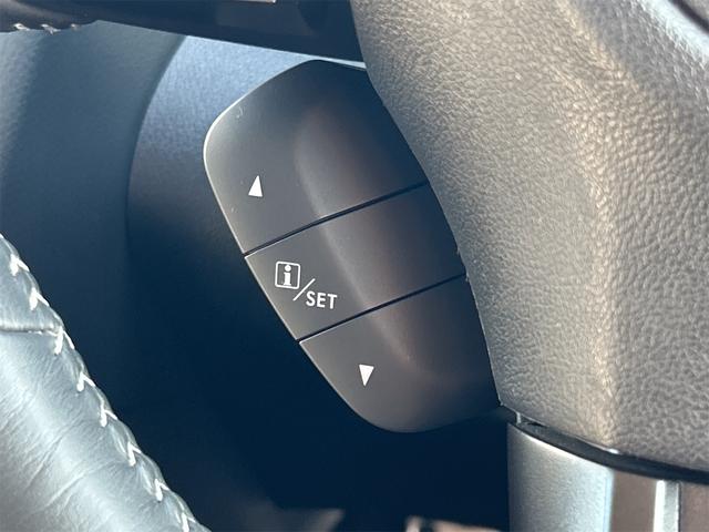 SUBARU LEVORG 1.6GT EYE SIGHT SMART EDITION