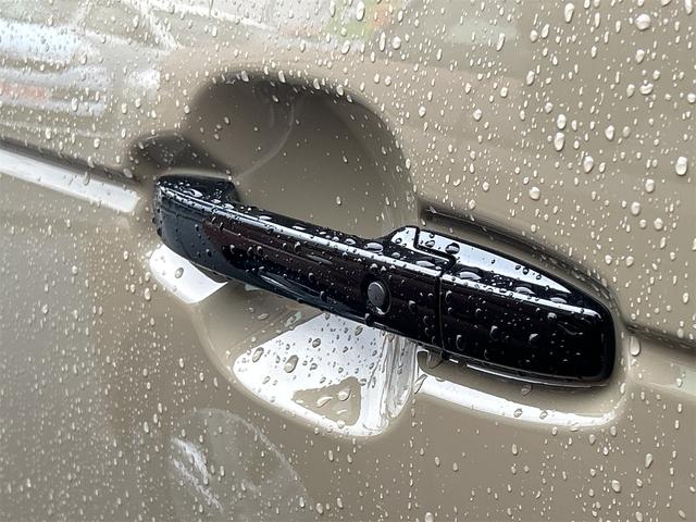 Ｎ－ＢＯＸジョイ 　バックカメラ　両側電動スライドドア　クリアランスソナー　オートクルーズコントロール　レーンアシスト　衝突被害軽減システム　オートライト　ＬＥＤヘッドランプ　スマートキー　アイドリングストップ（32枚目）