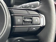 ڥϥɥܥ礭餹ȤʤܥԤȤǤΤǡˤθǤޤ͡ 5