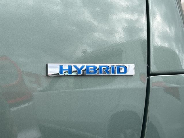 デリカミニ G プレミアム バックカメラ 両側電動スライドドア クリアランスソナー オートクルーズコントロール 衝突被害軽減システム オートライト LEDヘッドランプ スマートキー アイドリングストップ 電動格納ミラー(25枚目)