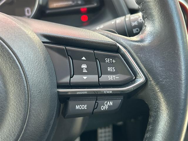 デミオ １３Ｓツーリング　Ｌパッケージ　ドライブレコーダー　バックカメラ　ナビ　ＴＶ　オートクルーズコントロール　レーンアシスト　衝突被害軽減システム　アルミホイール　オートライト　ＬＥＤヘッドランプ　スマートキー（44枚目）