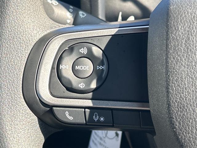 タフト Ｘ　ドライブレコーダー　ＥＴＣ　バックカメラ　クリアランスソナー　衝突被害軽減システム　オートライト　ＬＥＤヘッドランプ　スマートキー　アイドリングストップ　電動格納ミラー　サンルーフ　ＣＶＴ（37枚目）