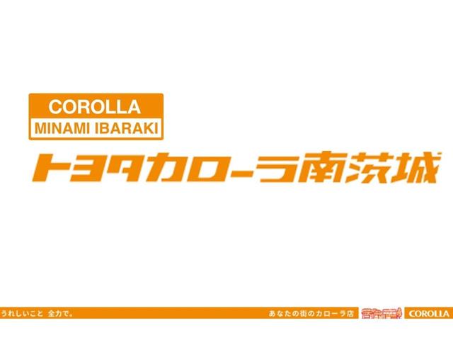 X LパッケージS メモリナビ ワンセグ バックモニター ETC(21枚目)