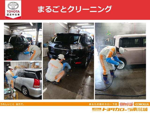 X LパッケージS メモリナビ ワンセグ バックモニター ETC(43枚目)