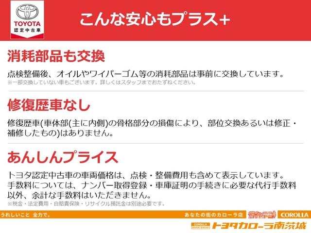 X LパッケージS メモリナビ ワンセグ バックモニター ETC(46枚目)