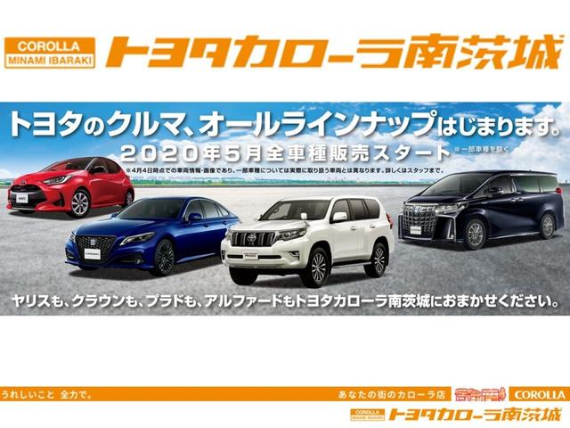 X LパッケージS メモリナビ ワンセグ バックモニター ETC(52枚目)