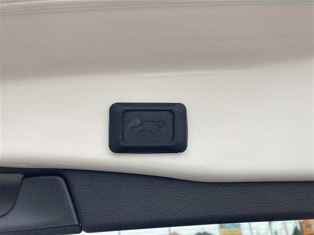 ＲＡＶ４ Ｇ　Ｚパッケージ　インテリジェントクリアランスソナー　整備記録簿　ＡＷＤ　ＬＥＤライト　アルミホイル　オートクルーズ　横滑り防止装置　バックガイドモニター　盗難防止装置　デュアルエアバッグ　キーレス　ＡＢＳ　１オーナー（23枚目）