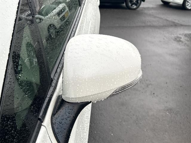 プリウスアルファ Ｓ　ドライブレコーダー　ＥＴＣ　バックカメラ　ナビ　ＴＶ　アルミホイール　オートライト　スマートキー　アイドリングストップ　電動格納ミラー　ＣＶＴ　盗難防止システム　衝突安全ボディ　ＡＢＳ　ＥＳＣ　ＣＤ（32枚目）