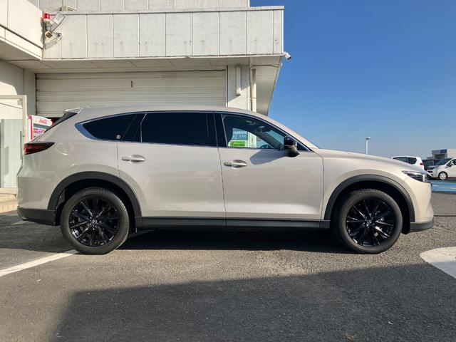 ＣＸ－８ ＸＤ　ブラックトーンエディション　３６０ビュー　電動リヤゲート　衝突軽減装置　追従クルコン　車線逸脱警報装置　運転席パワーシート　ＥＴＣ２．０　ＬＥＤヘッド　Ｂｌｕｅｔｏｏｔｈ　オートマチックハイビーム　禁煙車　コーナーセンサー（10枚目）