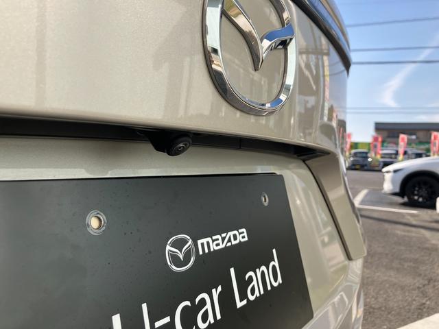 ＣＸ－８ ＸＤ　ブラックトーンエディション　３６０ビュー　電動リヤゲート　衝突軽減装置　追従クルコン　車線逸脱警報装置　運転席パワーシート　ＥＴＣ２．０　ＬＥＤヘッド　Ｂｌｕｅｔｏｏｔｈ　オートマチックハイビーム　禁煙車　コーナーセンサー（32枚目）