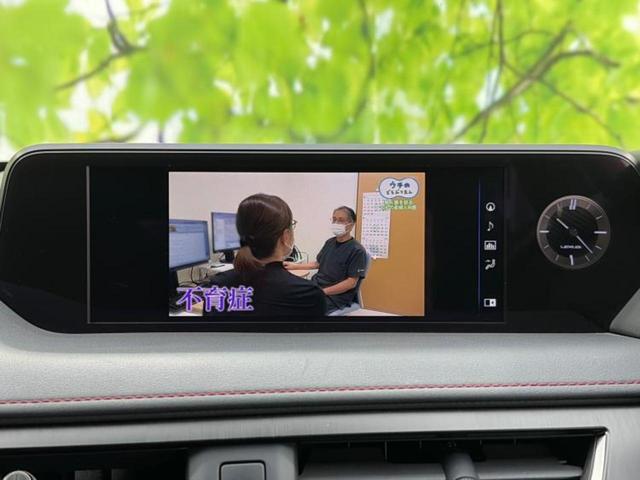 UX 4WD UX250h Fスポーツ 新品タイヤ/純正エアロ/保証書/純正 SDナビ/衝突安全装置/シートヒーター/パノラミックビューモニター/車線逸脱防止支援システム/シート 合皮/パーキングアシスト バックガイド 衝突被害軽減システム(13枚目)