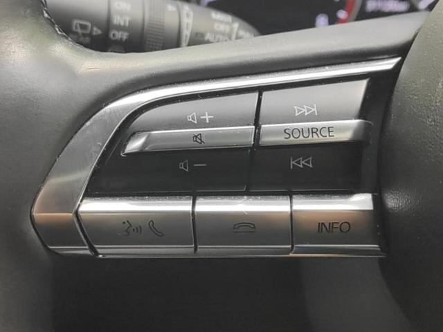 ＣＸ－３０ ４ＷＤ２０Ｓプロアクティブツーリングセレクション　新品タイヤ／ＢＯＳＥ／保証書／純正　ＳＤナビ／衝突安全装置／シートヒーター　運転席／３６０°ビューモニター／車線逸脱防止支援システム／パーキングアシスト　バックガイド／電動バックドア　バックカメラ（26枚目）