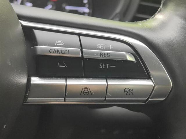 ＣＸ－３０ ４ＷＤ２０Ｓプロアクティブツーリングセレクション　新品タイヤ／ＢＯＳＥ／保証書／純正　ＳＤナビ／衝突安全装置／シートヒーター　運転席／３６０°ビューモニター／車線逸脱防止支援システム／パーキングアシスト　バックガイド／電動バックドア　バックカメラ（27枚目）