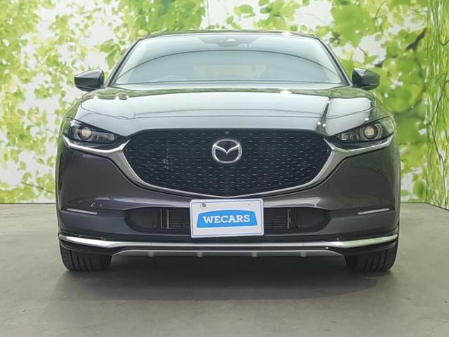 ＣＸ－３０ ４ＷＤ２０Ｓプロアクティブツーリングセレクション　新品タイヤ／ＢＯＳＥ／保証書／純正　ＳＤナビ／衝突安全装置／シートヒーター　運転席／３６０°ビューモニター／車線逸脱防止支援システム／パーキングアシスト　バックガイド／電動バックドア　バックカメラ（47枚目）