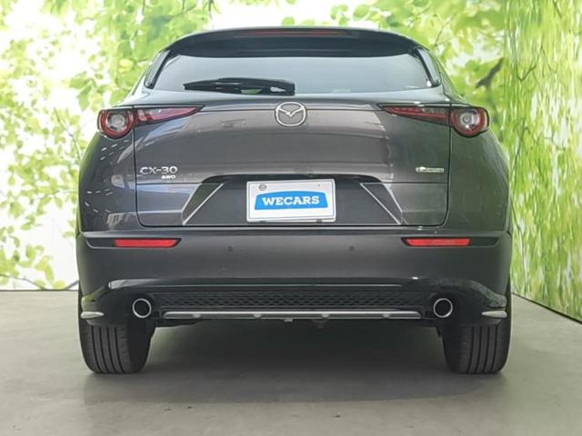 ＣＸ－３０ ４ＷＤ２０Ｓプロアクティブツーリングセレクション　新品タイヤ／ＢＯＳＥ／保証書／純正　ＳＤナビ／衝突安全装置／シートヒーター　運転席／３６０°ビューモニター／車線逸脱防止支援システム／パーキングアシスト　バックガイド／電動バックドア　バックカメラ（48枚目）