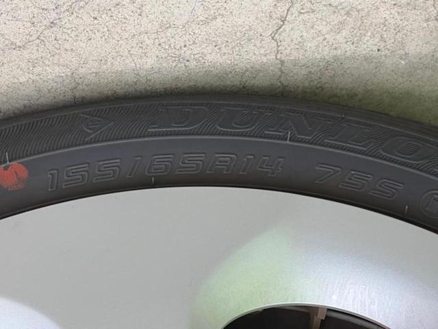 �u���̎Ԃ̎ʐ^�������ƌ������v�u��Ԃ��C�ɂȂ�v�u���̑����͂��Ă���H�v�ǂ�ȏ����ȋ^��ł����C�y�ɂ��₢���킹���������I