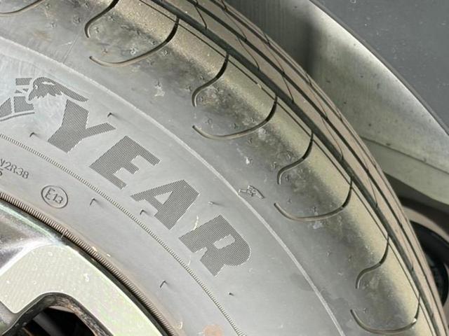 �u���̎Ԃ̎ʐ^�������ƌ������v�u��Ԃ��C�ɂȂ�v�u���̑����͂��Ă���H�v�ǂ�ȏ����ȋ^��ł����C�y�ɂ��₢���킹���������I