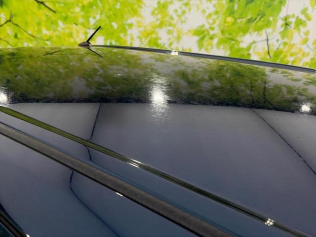 タンク X S 保証書/純正 SDナビ/スマートアシスト(トヨタ・ダイハツ)/電動スライドドア/車線逸脱防止支援システム/Bluetooth接続/ETC/EBD付ABS/横滑り防止装置/アイドリングストップ(52枚目)