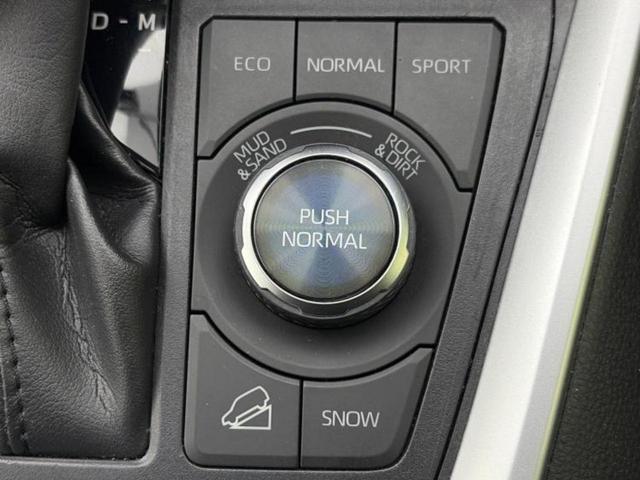 ＲＡＶ４ ４ＷＤアドベンチャー　保証書／純正　８インチ　ＳＤナビ／衝突安全装置／シートヒーター　前席／車線逸脱防止支援システム／シート　合皮／ヘッドランプ　ＨＩＤ／Ｂｌｕｅｔｏｏｔｈ接続／ＥＴＣ２．０／ＥＢＤ付ＡＢＳ　バックカメラ（38枚目）