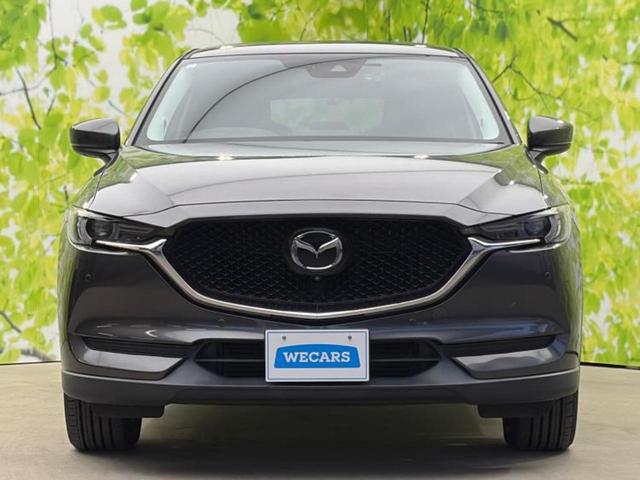 ＣＸ－５ ＸＤプロアクティブ　ＢＯＳＥ／保証書／純正　ＳＤナビ／衝突安全装置／全方位モニター／車線逸脱防止支援システム／ドライブレコーダー　前後／ヘッドランプ　ＬＥＤ／Ｂｌｕｅｔｏｏｔｈ接続／ＥＴＣ／ＥＢＤ付ＡＢＳ　全周囲カメラ（44枚目）
