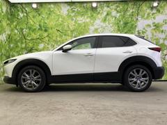 �ףţã��ңӤκ߸˥ڡ������������������ˤ��꤬�Ȥ��������ޤ����ףţã��ңӤϡ֤��������פ��åȡ��ˤ����ͤΥ����饤�դ����Ϥǥ��ݡ��Ȥ������ޤ��� 2