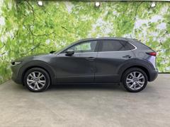 �ףţã��ңӤκ߸˥ڡ������������������ˤ��꤬�Ȥ��������ޤ����ףţã��ңӤϡ֤��������פ��åȡ��ˤ����ͤΥ����饤�դ����Ϥǥ��ݡ��Ȥ������ޤ��� 2