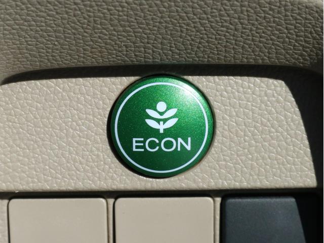 Ｎ－ＯＮＥ Ｇ・Ｌパッケージ　ワンセグ　ＨＩＤヘッドライト　ＥＴＣ（20枚目）