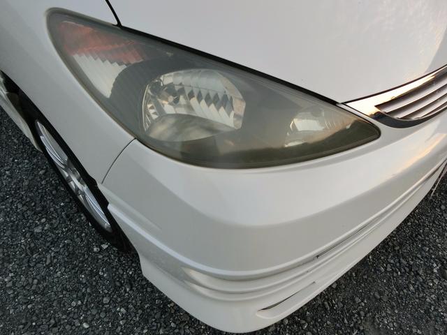アエラス(34枚目)