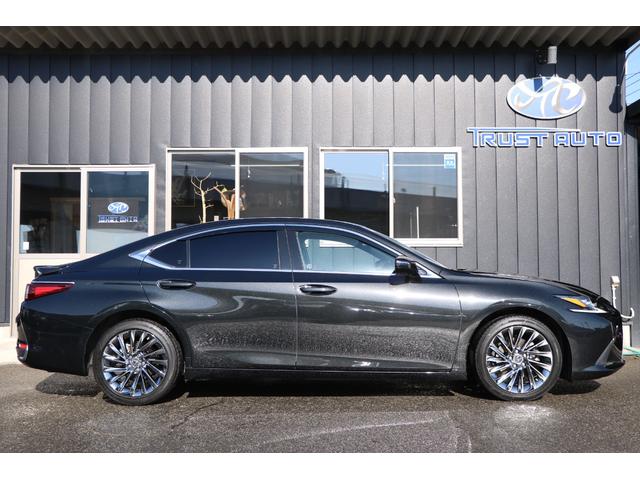 ＥＳ ＥＳ３００ｈ　バージョンＬ　黒革シート　ヒーター＆ベンチレーター　サンルーフ　グラファイトブラックガラスフレーク（２２３）純正ナビ　フルセグ　パノラミックビューモニター　スペアキー＆カードキー（14枚目）