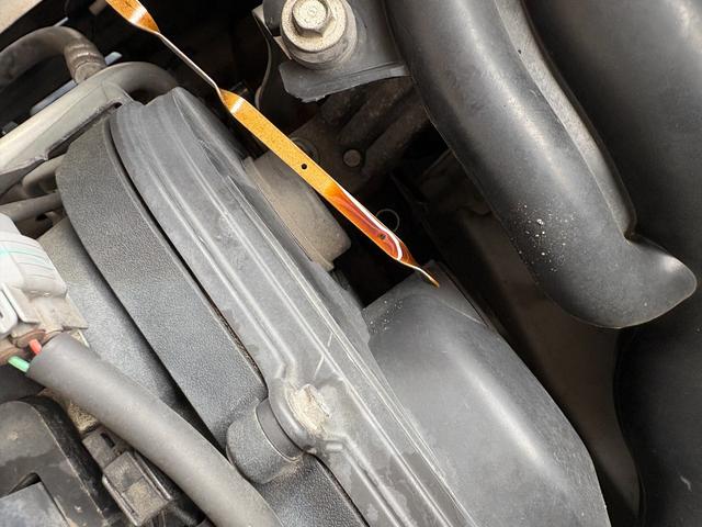 ステラ （2枚目）