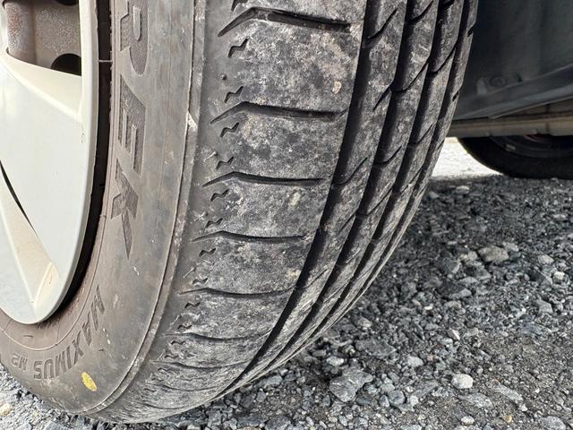 ステラ （7枚目）