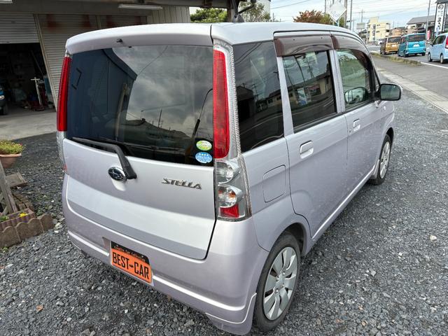 ステラ （21枚目）