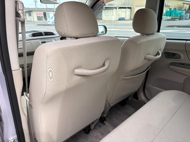 ステラ （32枚目）