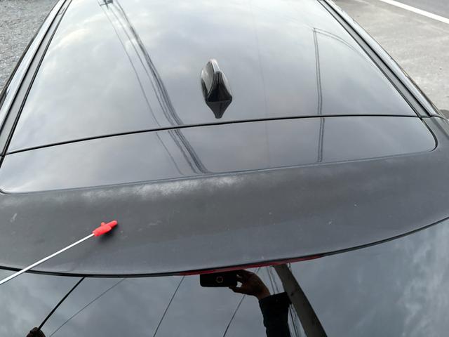 リヤスポイラーハゲ