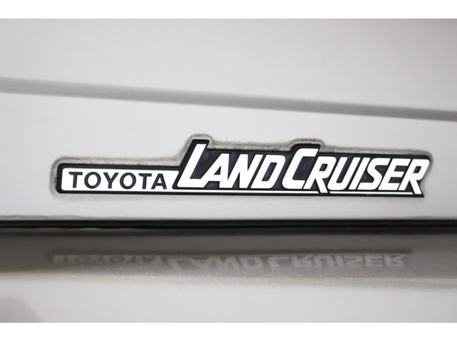 ランドクルーザー７０ ＬＸ　４ＷＤ　ワンオーナー　ナローボディ　５速マニュアル　社外１６インチアルミホイール　クロームメッキフロントバンパー　ＬＥＤイカリングヘッドライト　ＬＥＤクリスタルコンビテールランプ　新品ダッシュボード（65枚目）