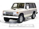 エクシード　４ＷＤ　タイミングベルト交換済　ナローボディ　寒冷地仕様　ハーフレザーシート　シートヒーター　ＬＥＤイカリングクリスタルヘッドライト　３列シート　７人乗り　ディーゼルターボ車　４ナンバー登録可能(2枚目)