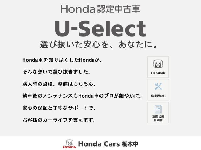 アクティトラック アタック ドアバイザー/ゲートプロテクター/トリイ/作業灯/デフロック/パワーステアリング/ハロゲンヘッドライト(42枚目)