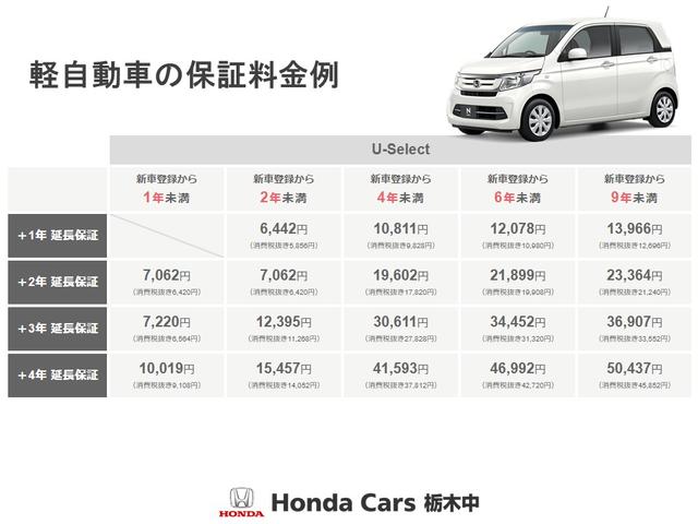 アクティトラック アタック ドアバイザー/ゲートプロテクター/トリイ/作業灯/デフロック/パワーステアリング/ハロゲンヘッドライト(60枚目)