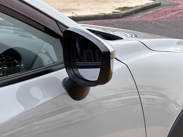ＣＸ－３ ＸＤ　ツーリング　純正ＳＤナビ　フルセグＴＶ　Ｂｌｕｅｔｏｏｔｈオーディオ　バックカメラ　衝突被害軽減ブレーキ　レーンアシスト　ヘッドアップディスプレイ　アダプティブクルーズコントロール　ブラインドスポット　ＥＴＣ（41枚目）
