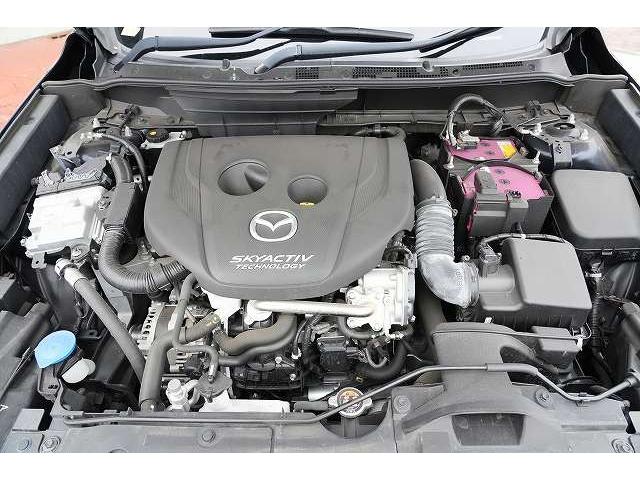 ＣＸ－３ ＸＤ　プロアクティブ　純正ＳＤナビ　フルセグＴＶ　Ｂｌｕｅｔｏｏｔｈ接続　全方位カメラ　衝突被害軽減ブレーキ　レーンアシスト　ヘッドアップディスプレイ　アクティブクルーズコントロール　クリアランスソナー　ブラインドスポット（53枚目）